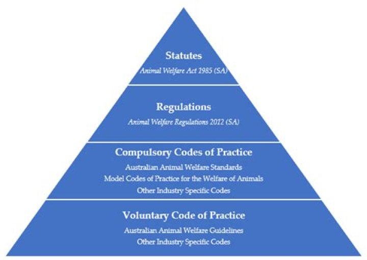 Apply the Correct Standards When Writing a Legislation Essay