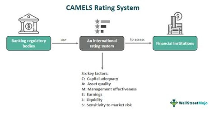 Are Camels ratings confidential?