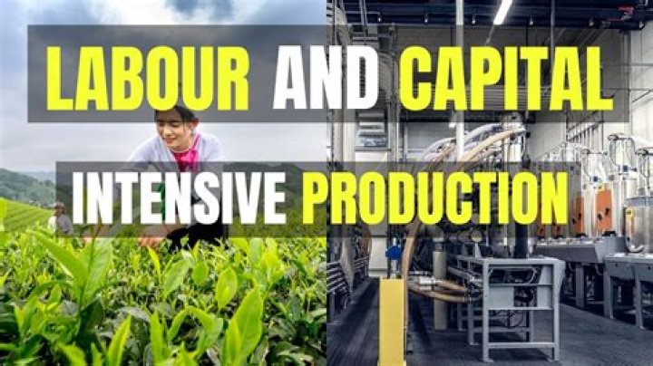Are cars capital or labor intensive?