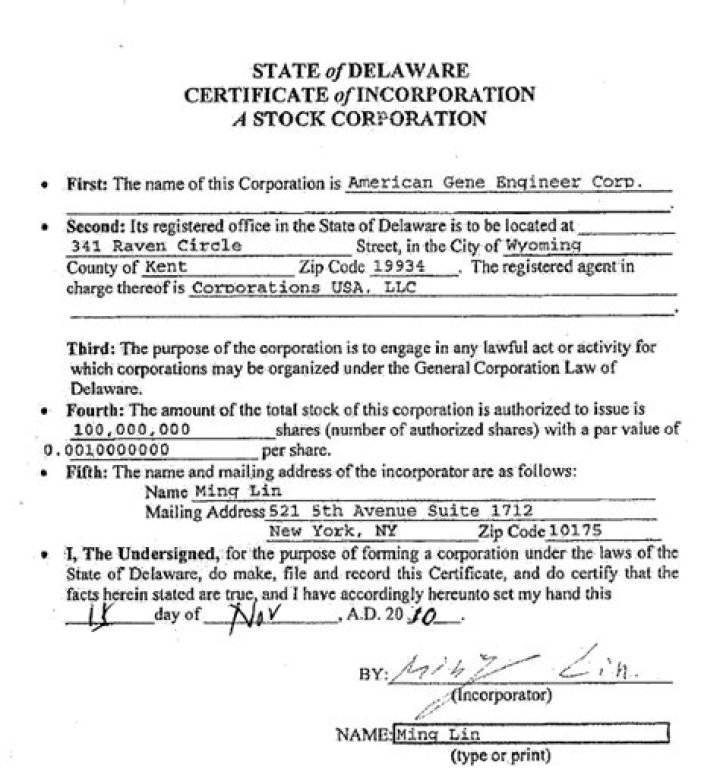Are Delaware certificates of incorporation public?