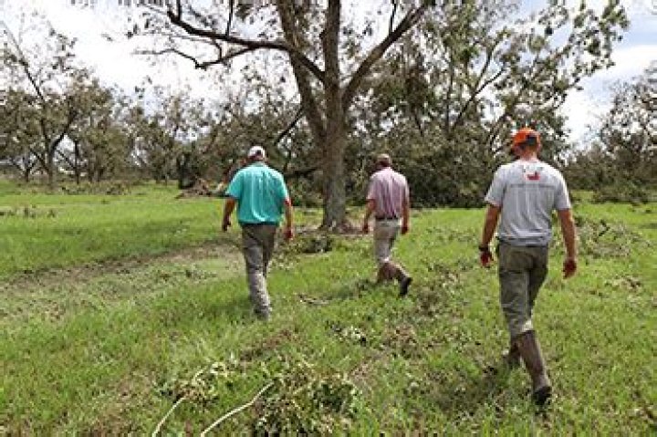 Are Hurricane Sally losses tax deductible?