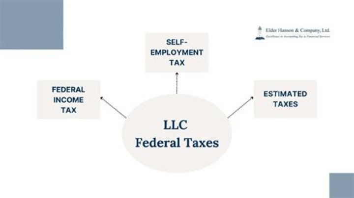Are LLCs taxed at the federal level?