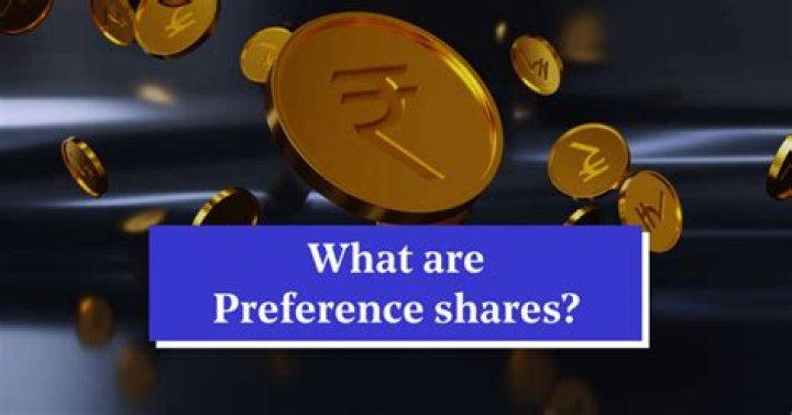 Are preference shares paid before tax?