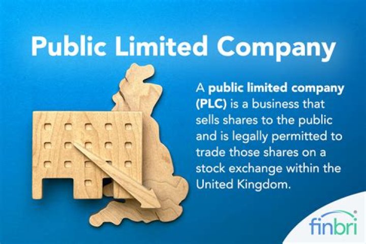 Are public limited companies in the public sector?