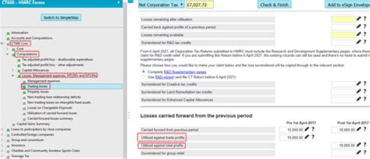 Are S Corp losses carried forward?