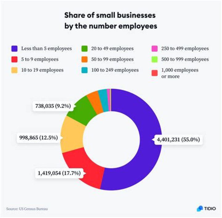Are there 20 million single person businesses in the US?