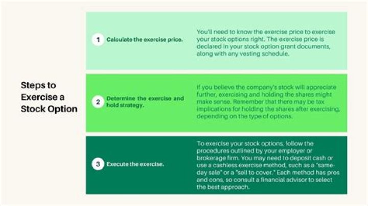 Can a company exercise stock options?