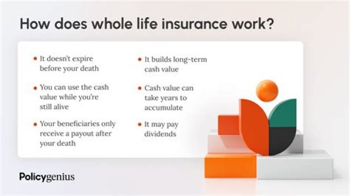 Can a life insurance policy gain interest?