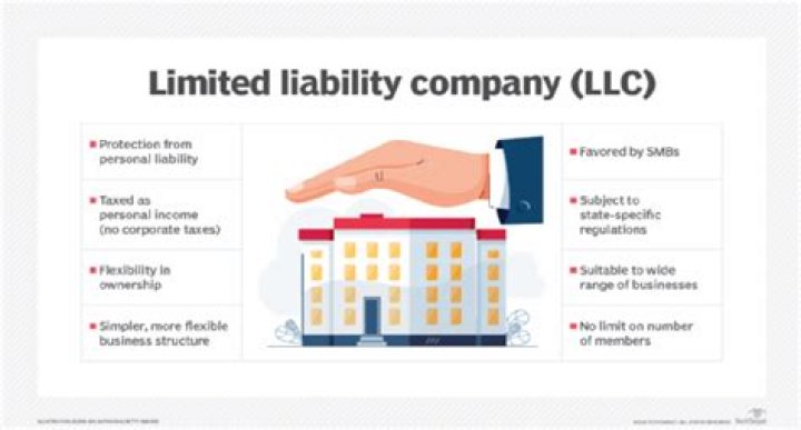 Can a limited liability company have no business?