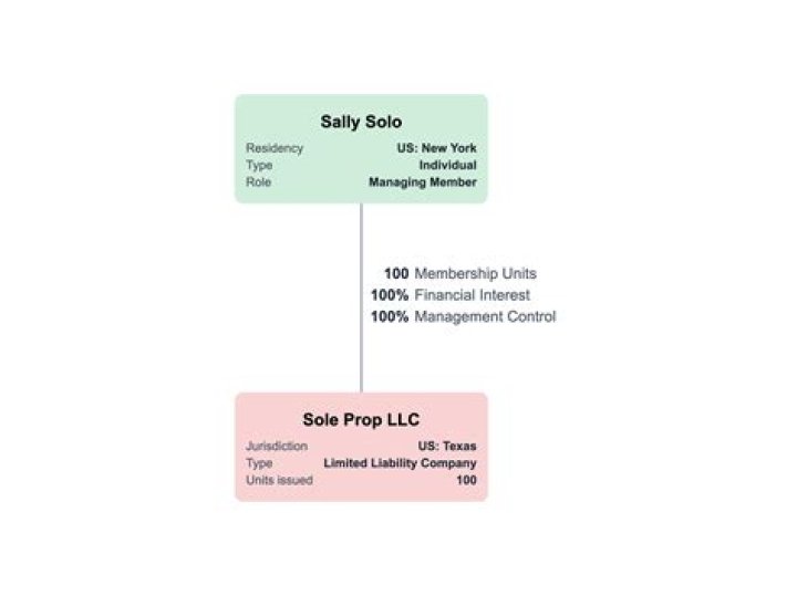 Can a LLC be taxed as a sole proprietorship?