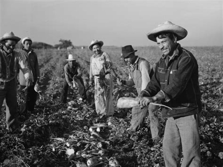 Can a Mexican work in the US?