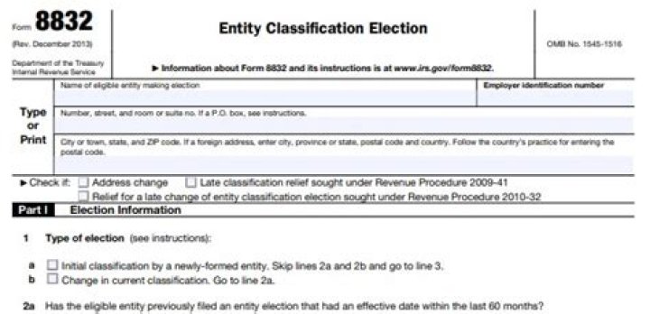 Can a partnership file form 8832?