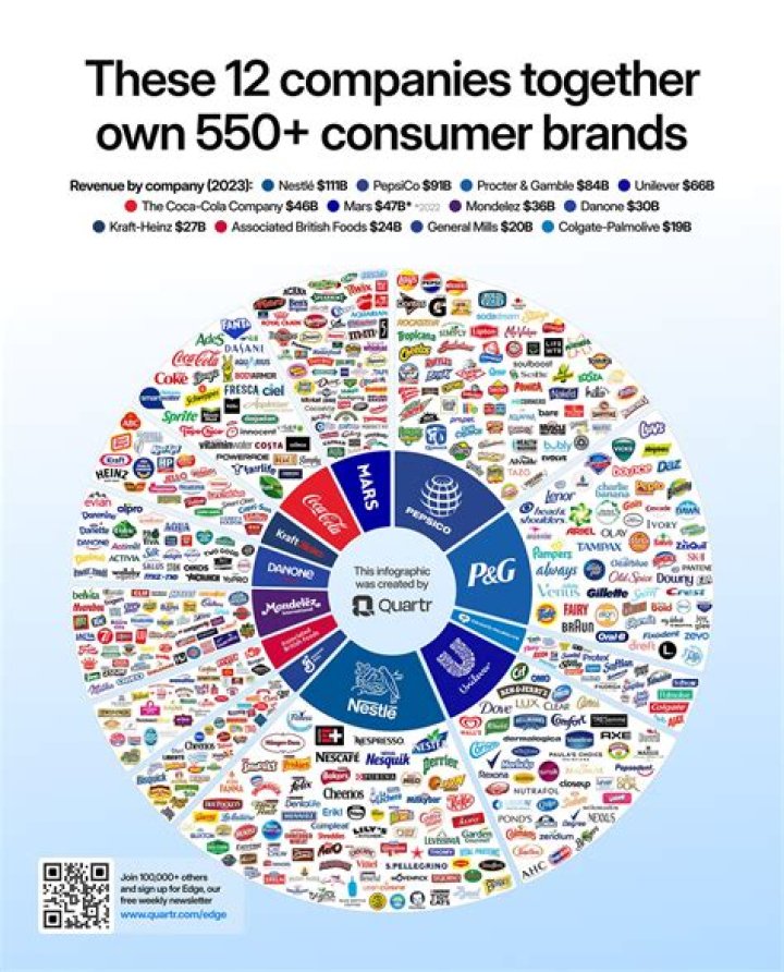 Can A S Corp own A S corporation?