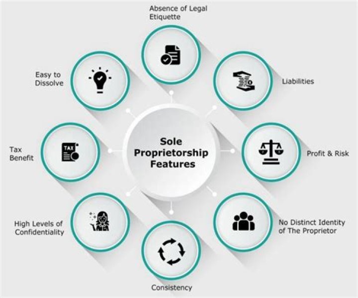 Can a spouse be a sole proprietor of a business?
