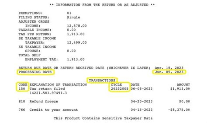 Can a taxpayer prove that they filed a tax return?
