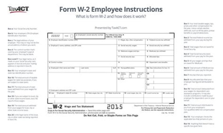 Can a W-2 employee be an LLC?