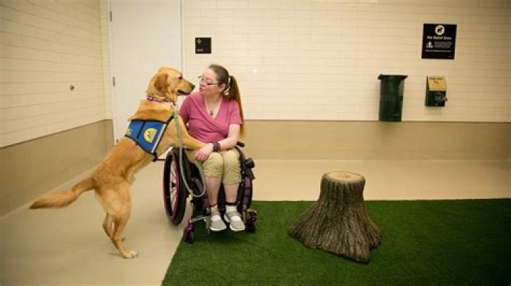 Can I bring my daughter to Germany?