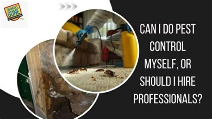 Can I do pest control myself?