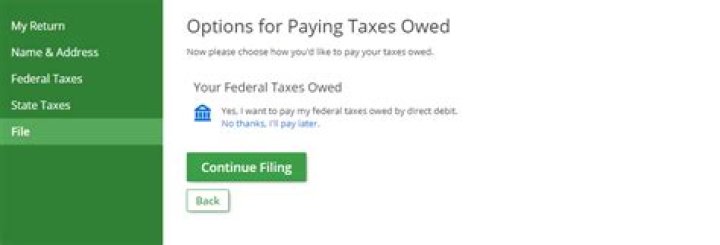 Can I Efile my federal taxes before my state?