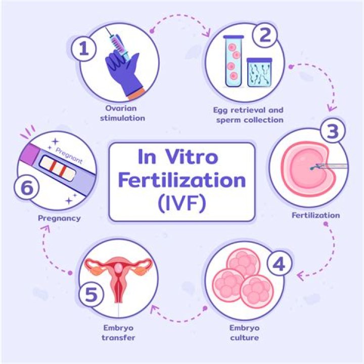 Can I get IVF if I am single?