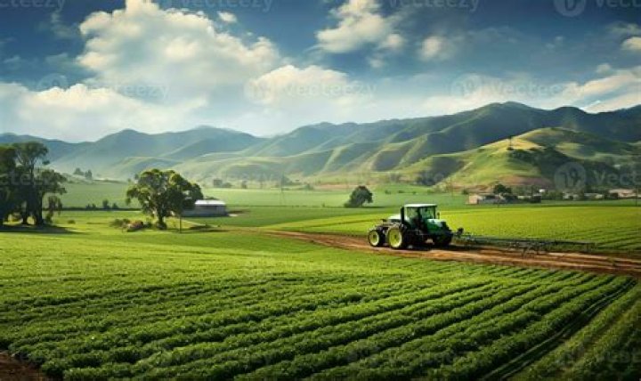 Can I get loan on agriculture land?