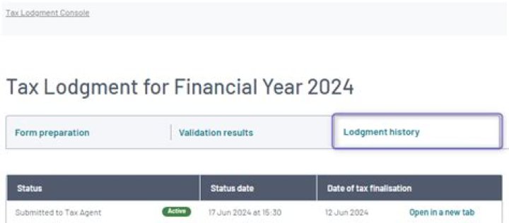 Can I lodge a trust tax return online?