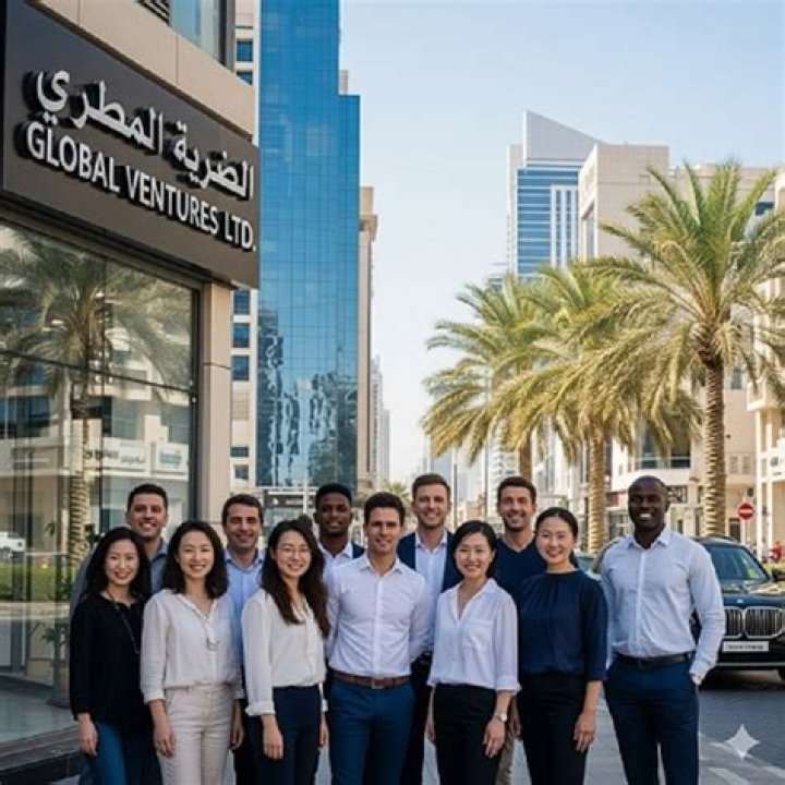 Can I own 100 LLC in UAE?