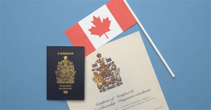 Can I work in US after Canadian citizenship?