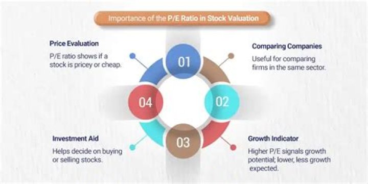 Can investors trust the P E ratio?