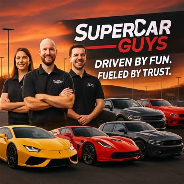 Can LLCS own cars?