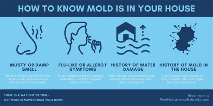 Can mold in my house make me sick?