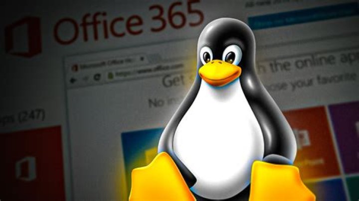 Can Office 2013 run on Windows 8?