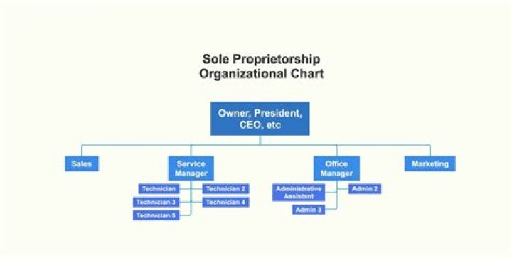 Can sole proprietorship have multiple?