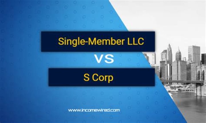 Can there be a single member S corp?