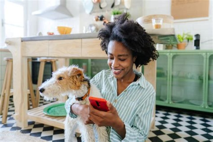 Can you buy a house with an eviction on your credit?