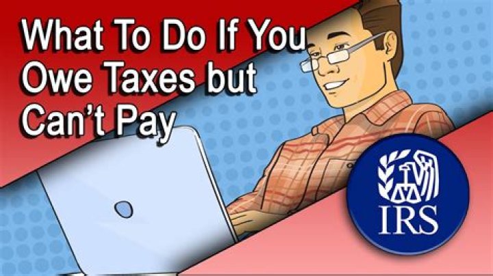Can you get deported if you owe taxes?