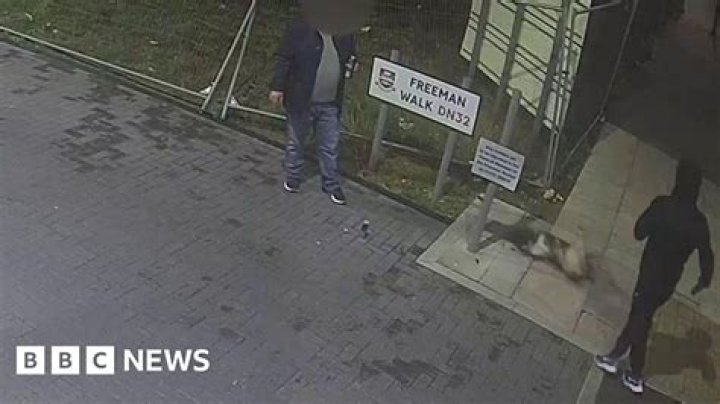 Can you get kicked out for having a pet?