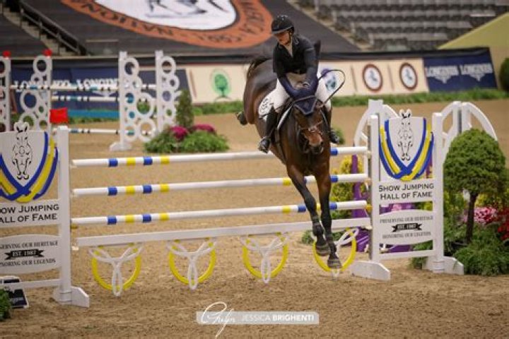 Can you make money show jumping horses?