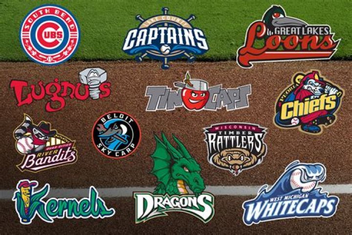 Can you try out for a minor league team?