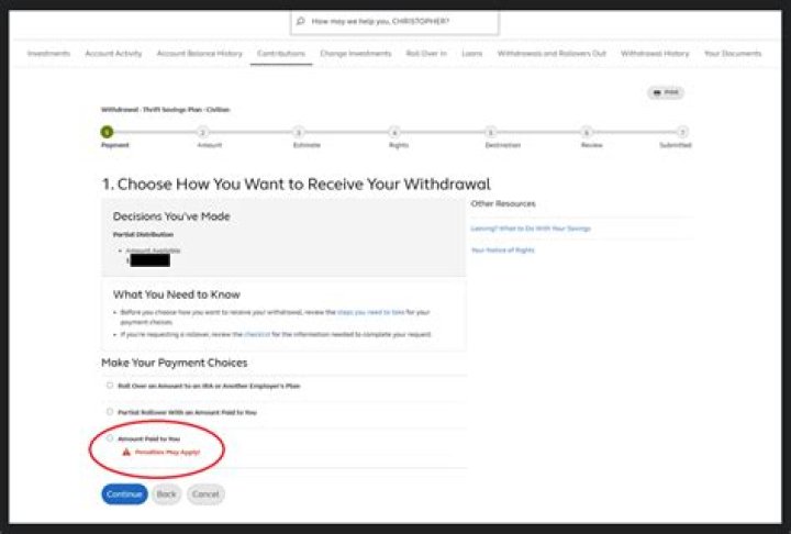 Can you withdraw from a TSP account?