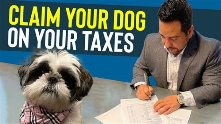 Can you write off a service dog on your taxes?