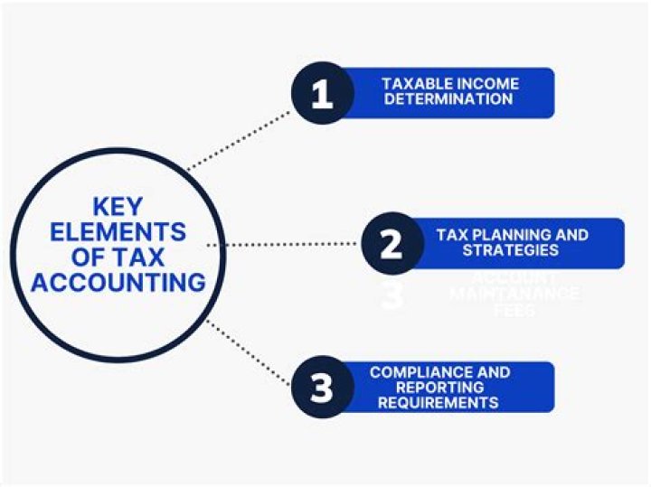 Do accountants understand taxes?
