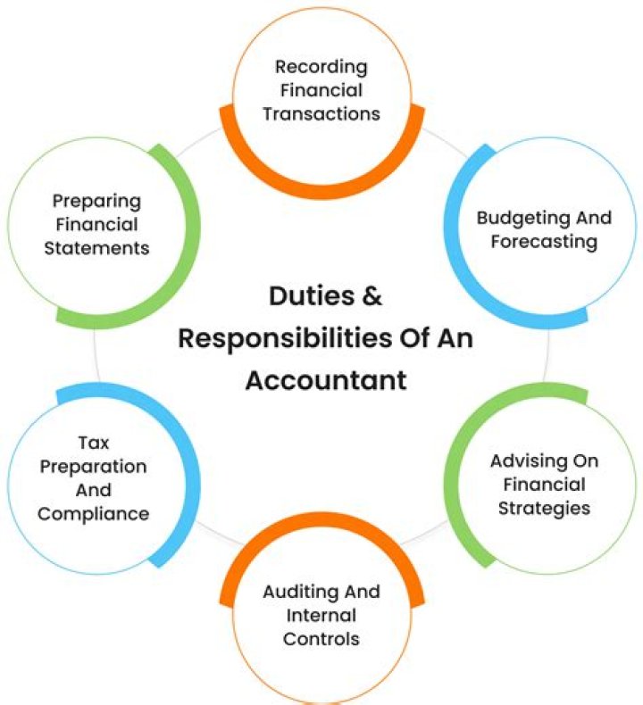 Do auditors have to be accountants?