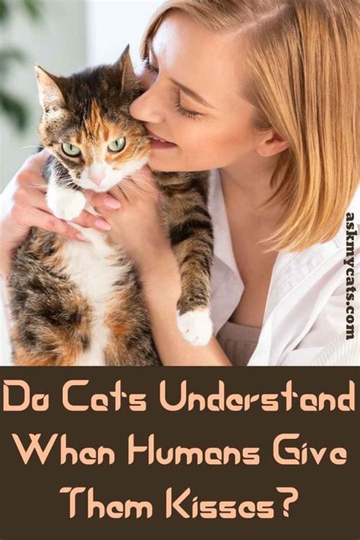 Do cats understand when humans talk to them?