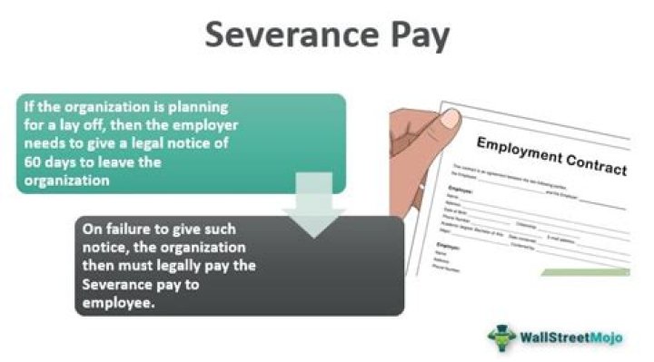 Do companies have to pay severance in Georgia?