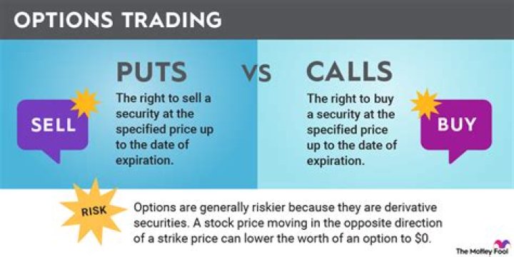 Do directors get stock options?
