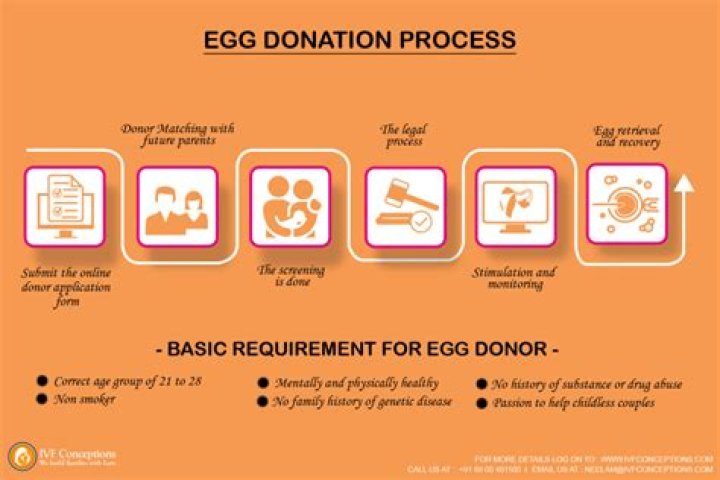 Do egg donors get paid per egg?