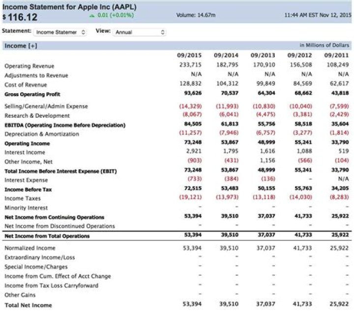 Do fees go on the income statement?