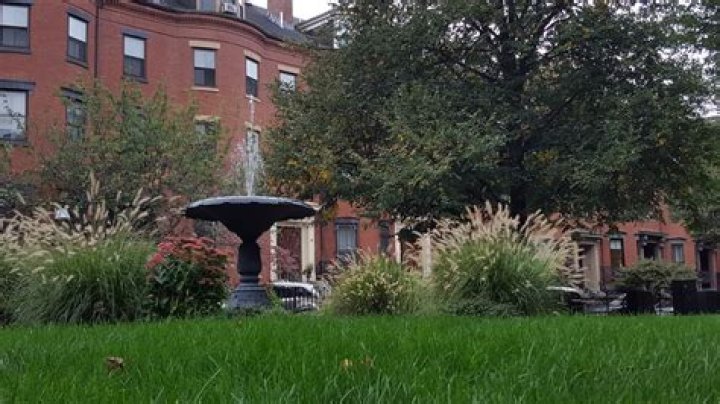 Do I need a solicitor to buy my parents house?