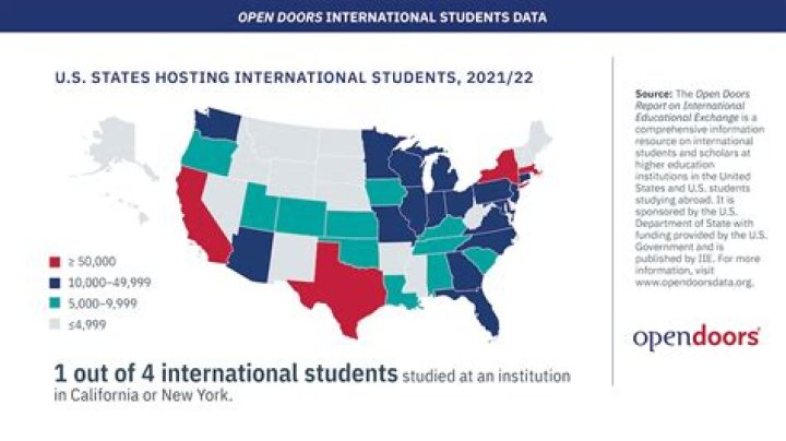 Do international students get tax returns?